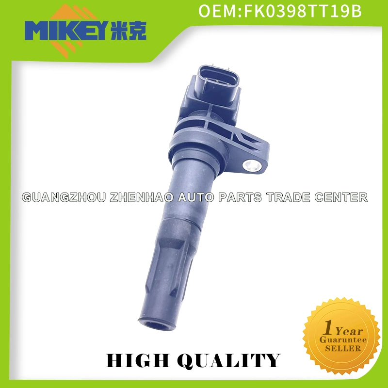 Wholesale Brand New Chinese Manufacturer Auto Part Ignition Coil for Byd F3r Vvl 473qb OEM: Fko398/Tt19b