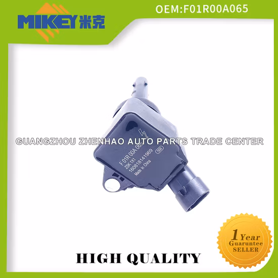 Bobina di accensione per ricambi auto di alta qualità per Byd G6 Byd Fast Sharp 1.5t Byd Song/Byd G6 Nuovo F3 Qin S6 Sirui G5 S7 Fast Sharp 1.5t 476 OEM: Foir00A065